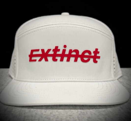 Extinct Original 7 panel